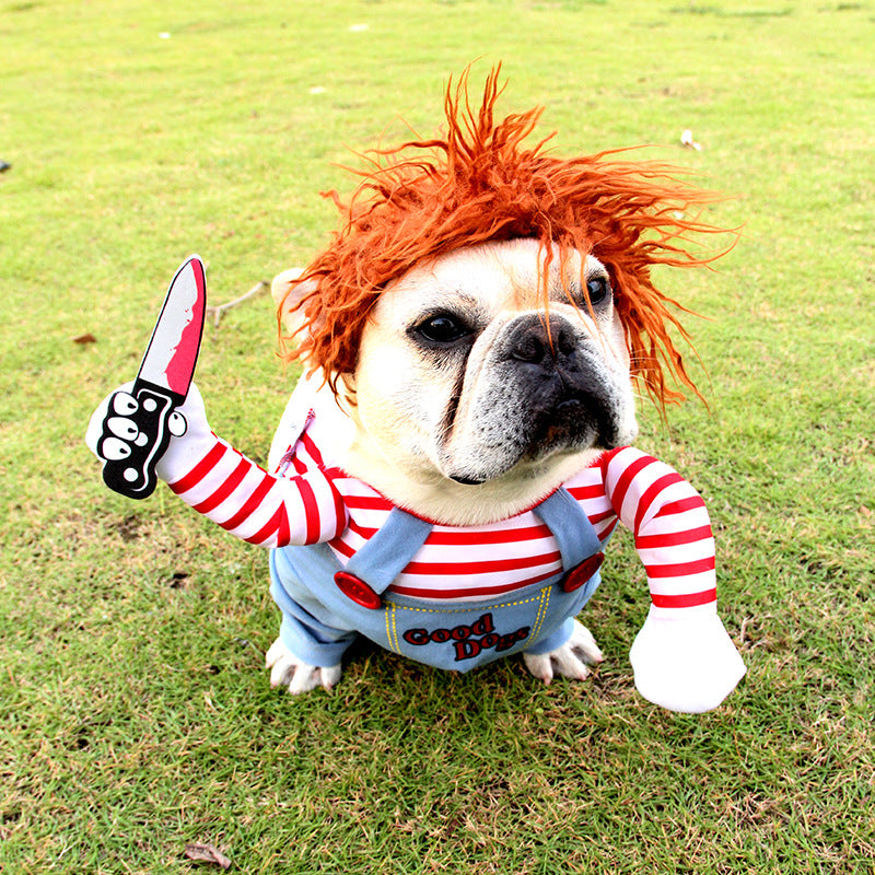 ๐ช Chucky Pet Costume