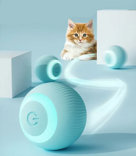 🥎 Smart Moving Cat Ball