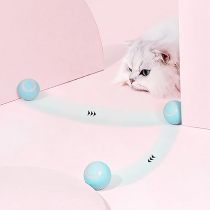 🥎 Smart Moving Cat Ball